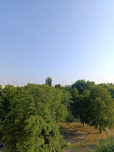 The image captures a clear, bright sky above a dense canopy of green trees in Ladyzhyn, Ukraine. The trees dominate the midground and foreground, with their leaves illuminated by the sun, creating a vibrant, lush scene. In the distance, the tops of buildings and a telecommunications tower are visible peeking through the foliage. The ground beneath the trees is covered in dry, yellow grass, suggesting a warm season. A small, paved area with some minimal infrastructure, possibly a rest stop or a small park feature, is visible in the lower right quadrant, partially shaded by the trees. The overall impression is one of a sunny day in a park or a residential area with abundant greenery.