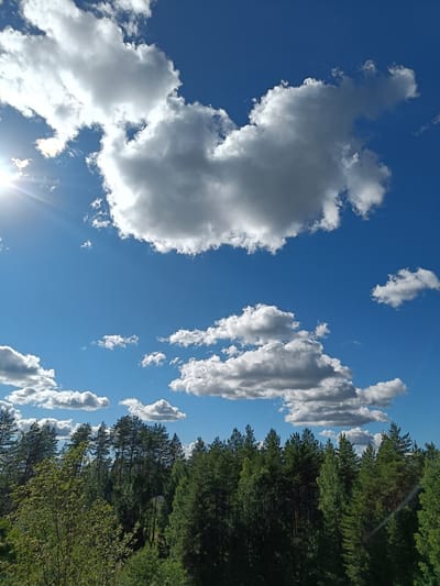 The image depicts a bright, sunny day in a forested area. The sky is a vibrant blue, dotted with fluffy white and grey cumulus clouds, some of which are quite large and dramatic. The sun is shining brightly, casting rays of light through the clouds on the left side of the frame, creating a lens flare effect. Below the expansive sky, a dense forest stretches across the horizon. The trees are primarily coniferous, with tall, dark green pines dominating the landscape, interspersed with some deciduous trees showcasing lighter green foliage. The dense canopy of the forest suggests a natural, possibly wild setting. The scene evokes a feeling of peace and the beauty of nature on a clear day. The time of day appears to be late morning or early afternoon, given the high angle of the sun and the bright illumination. There are no visible people, objects, or text in the image. The location cues point to a Nordic forest environment, consistent with Tuusniemi, Finland.