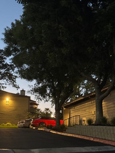 An exterior shot captures a street-level view of an apartment building at dusk. A prominent building with horizontal siding and an illuminated exterior light fixture dominates the left side of the frame. To the right, another building constructed of light-colored horizontal wood panels runs along the right side of the image. A sloped concrete wall with a red curb separates the parking area from the building. Two cars are parked on the asphalt. A dark-colored sedan is parked behind a bright red convertible. Large trees with dense foliage extend from the top of the frame, partially obscuring the twilight sky. The scene is situated in Sacramento, California, United States.