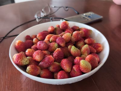 A white bowl filled with wild strawberries sits on a dark wooden table. In the background, a pair of glasses rests on the table, and a smartphone is visible. The scene appears to be indoors, as indicated by the lighting and the presence of household objects. The location of Вышки, Russia is not discernible from the image.