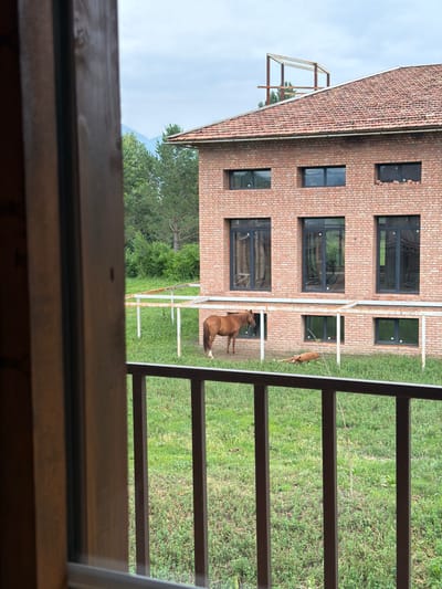 A brown horse stands in a grassy enclosure next to a brick building with a tiled roof. Another horse, also brown, is lying down in the grass. The building has several dark windows. The enclosure is bordered by a white fence. In the background, there are trees and a cloudy sky with mountains visible in the distance. The scene appears to be in Shabdan, Kyrgyzstan.