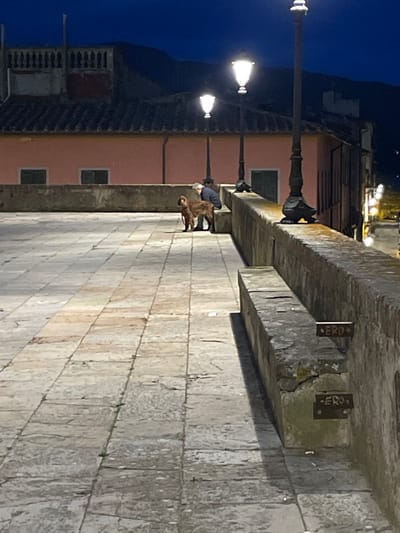 The image shows a person with a brown dog standing on a stone wall overlooking a paved square in Portoferraio, Italy, at coordinates 42.816, 10.331.  The person is wearing a dark jacket, and the dog is standing at their side.  The wall is made of large stones and has a stone seat built into it. There are three streetlights illuminating the scene, and several other streetlights can be seen in the background. The image was taken at night. The square is paved with large, rectangular stone slabs. The buildings surrounding the square appear to be old and have a pink hue under the streetlights.  The wall has two signs on it.  The signs are made of metal and have the word "ERO" engraved on them.  The scene is quiet and peaceful.