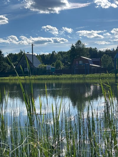 The image depicts a serene natural scene with a body of water in the foreground and a wooded area with houses in the background. Tall, green reeds or cattails line the edge of the water, their reflections visible on the still surface. Beyond the reeds, a dark fence runs along the perimeter of the property. Several houses with dark roofs are nestled amongst a dense forest of green trees. The sky is a vibrant blue with scattered white, fluffy clouds. The overall impression is one of a peaceful rural or suburban setting, likely in the countryside. The location is identified as Слава Снт, Russia.