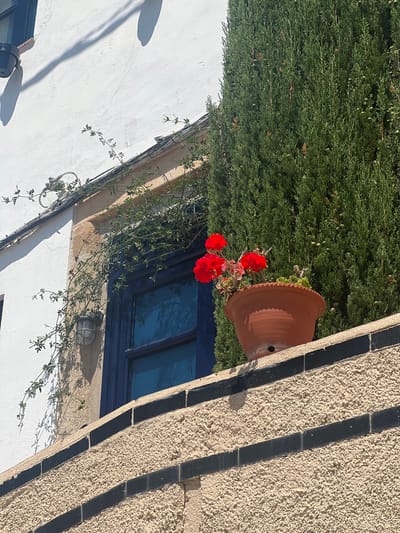 A terracotta flower pot with red geraniums hangs next to a window with a dark blue frame. The window is set in a building with white and textured beige walls. Black tiles decorate the beige wall. Green plants are above and trailing from the window. Based on the location mentioned, this scene is likely found in Sant Pol De Mar, Spain. The photo is taken in bright daylight.