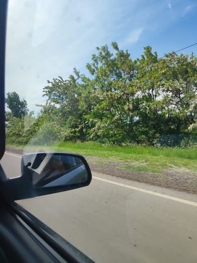 The image captures a view from inside a car, looking out the passenger side window towards the right. A black side-view mirror is visible in the foreground, reflecting a person's hand holding a green object, likely a smartphone. Beyond the mirror, a paved road runs horizontally across the frame, bordered by a grassy verge and a line of trees in bloom with small white flowers. The trees form a dense green backdrop against a bright blue sky with scattered white clouds. The scene suggests a daytime journey through a rural or suburban area, potentially in Horom, Armenia, given the context. The lighting indicates it is a sunny day.