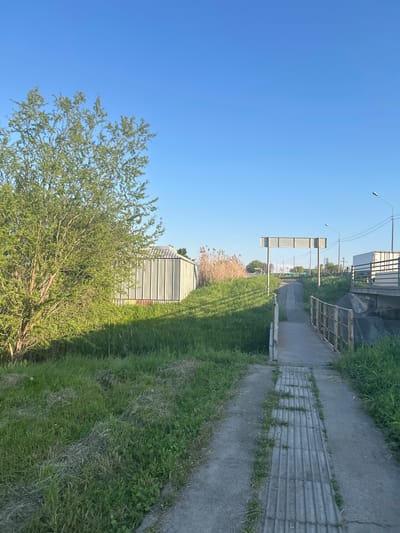The image shows a view of a grassy area adjacent to a concrete walkway. In the background, there's a metal structure that looks like a small building or shed, partly obscured by a tree in the foreground. Further back, a road or path with streetlights and signage is visible, suggesting an urban or suburban setting. The sky is clear and blue, indicating a sunny day. I am unable to determine whether this is Yugo-Severnaya, Russia.