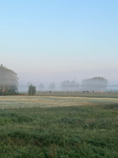 The image depicts a foggy morning scene in Yarkovo, Russia. The sky is a pale, clear blue that fades into a lighter hue near the horizon. In the foreground, a field of tall green grass is visible, with scattered white wildflowers. Behind this, a field of lighter-colored vegetation, possibly crops, stretches across the landscape. A line of trees, some appearing to be birch trees with their characteristic white bark, lines the edge of this field. Beyond the trees, a thick fog obscures the background, creating a hazy atmosphere. Two tall, slender industrial structures, possibly smokestacks or towers, are faintly visible through the mist in the far distance. The overall environment suggests a rural or semi-rural setting on a cool, damp morning. There are no people or animals visible in the image.
