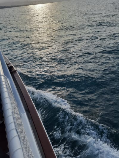 The image captures a view from the side of a boat moving through dark blue water, creating white foamy waves. The sun is setting over the horizon, casting a bright, shimmering reflection on the water's surface. In the distance, a hazy coastline with buildings is visible, suggesting an urban environment. The boat's railing, made of white material with netting, is prominent in the foreground on the left side of the image. A person with dark hair is leaning over the brown wooden railing, looking out at the water. The scene appears to be set in Atakum, Turkey, given the distant coastline and the calm, expansive sea characteristic of the area.