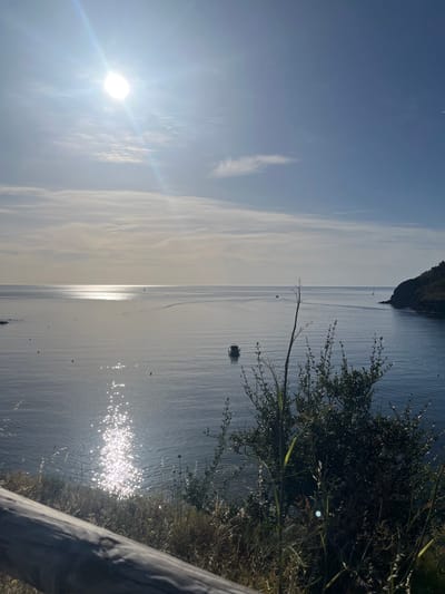 The image depicts a coastal scene at the town of Colera, Spain, on a sunny day. The sun is high in the sky, casting a bright glare on the calm sea. The water is a deep blue, with a shimmering reflection of the sun creating a bright pathway across its surface. A few buoys are visible in the water. In the distance, a small boat is moving away from the viewer, leaving a wake behind it. Another sailboat is also visible further out at sea. On the right side of the image, a dark, tree-covered hill slopes down to the water. In the foreground, there is a wooden railing and dry grass, with a dense green bush obscuring a portion of the sea. The sky is a clear blue with scattered white clouds. The overall atmosphere is tranquil and serene.
