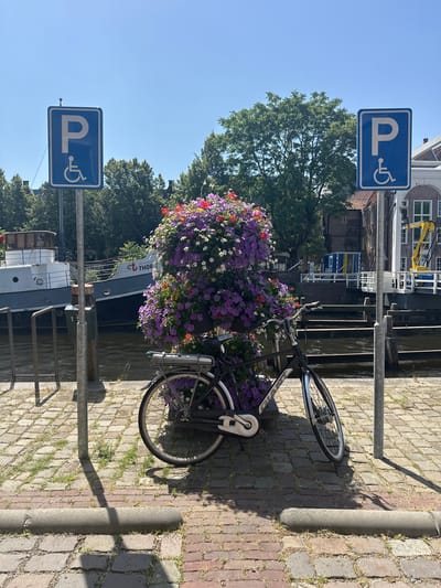 A black bicycle is parked on a cobblestone path next to a canal in Zwolle, Netherlands. The bicycle is adorned with a large hanging planter overflowing with purple, red, and white flowers. Two blue parking signs with white wheelchair symbols are visible on either side of the bicycle, indicating disabled parking. In the background, a canal runs alongside the path, with a boat docked on the left and a bridge with a yellow crane in the distance. The scene is bathed in bright sunlight, casting shadows on the ground.