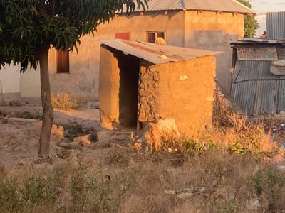 The scene shows a small, mud-brick structure, likely a shed or outhouse, situated in the shadow of a larger, more substantial building with a corrugated metal roof. The larger building is situated behind the shed, with a window visible in the side wall. The smaller structure is constructed of mud bricks and has a corrugated metal roof. The front of the shed is open, revealing a dark interior, while the rear is partially obscured by the larger building. The ground around the buildings is dusty and covered in sparse vegetation. The shed is lit by the warm glow of the setting sun, casting long shadows and highlighting the rough texture of the mud bricks. There are no people visible in the scene, however, there is a white goat in the shed. The location of the scene, based on the coordinates provided, is in a residential area of Dodoma, Tanzania.