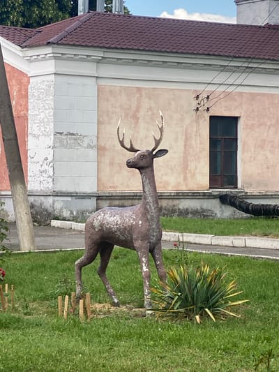 An outdoor, eye-level, medium shot captures a statue of a deer in the city of Stadnia, Ukraine. The statue, made of a weathered, textured material, stands on a patch of green grass. It is brown and white, with what appears to be peeling paint or a similar effect on its body and legs. The deer statue has antlers that are a golden-yellow color and the eyes are dark. Behind the statue, a building with a reddish-brown tiled roof and pale pink walls is visible. The building has a dark-paned window and a dark, corrugated pipe extending from its base. In the foreground, several small wooden stakes are planted in the grass around the base of the statue. The environment suggests an urban setting with a mix of nature and man-made structures.