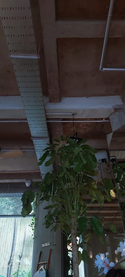 The image shows an interior shot of a modern building with exposed concrete ceilings and ventilation ducts. A large potted plant with lush green leaves is prominently featured in the foreground, its trunk thick and textured. Above and behind the plant, industrial elements such as silver pipes and a perforated metal cable tray are visible, suggesting a utilitarian design aesthetic. A black spotlight fixture hangs from the ceiling. To the left, a window looks out onto an outdoor area with bamboo-like structures. A gray pillar is also visible, with a small sign that reads "THE CIRCLE" and a wooden ladder leaning against it. In the lower right corner, a reflection shows white flowers and possibly the heads of patrons, indicating the space might be a cafe or restaurant. The scene is dimly lit, with some areas in shadow. The location is identified as Sampora, Indonesia, likely a commercial establishment.