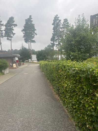 This media file captures a scene in Milná, Czechia, likely during the daytime under overcast skies. The image depicts a paved pathway or road running alongside a dense, green hedge. Beyond the hedge, tall evergreen trees with thin trunks are visible, some appearing quite tall and silhouetted against the bright, hazy sky. In the distance, a body of water, possibly a lake or river, is visible, with trees lining its far bank.
Closer to the foreground, there's a small building with a dark roof and windows. Outside this building, there are some objects, including what appears to be chairs and framed pictures displayed. One sign has some text and a circular graphic. Further down the path, there are circular manhole covers or similar utility markers. The overall impression is a serene, perhaps slightly damp, outdoor environment, possibly a park or recreational area near water. There are no people visible in the scene. The presence of the building and the pathway suggests a maintained area, perhaps a park entrance or a small amenity building. The weather appears to be cloudy, contributing to a muted color palette and diffused light.