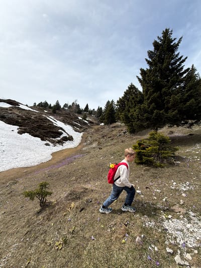 A medium shot shows a person standing on a grassy hillside with patches of snow, trees, and purple flowers. The person wears jeans, a light-colored top, and a red backpack with a small yellow object attached. The person appears to be walking or standing still on the hillside. The hillside slopes down towards a snow-covered area and a forest. The sky is visible in the upper left corner of the frame and is partly cloudy. The location appears to be a mountainous area near Kamnik, Slovenia, based on the visible landscape features.