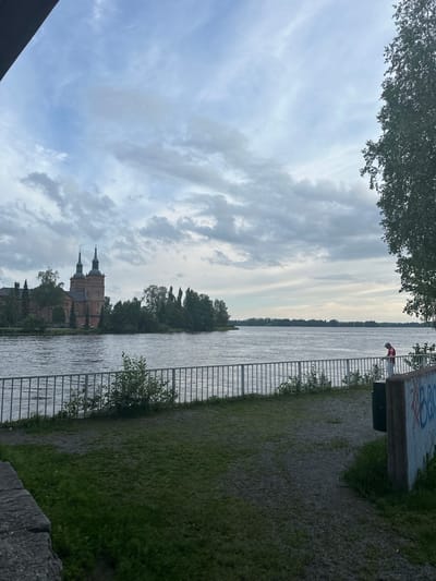 The image depicts a waterfront scene in Vammala, Finland, featuring a large brick building with two prominent towers on the far bank of a wide river. The sky is cloudy with varying shades of grey and white. In the foreground, a metal railing separates a grassy area from the river. A person wearing a red and white shirt is standing by the railing on the right side of the image, facing away from the camera and towards the water. To the right of the person, a trash bin is visible, and a concrete structure with graffiti is present. Trees and vegetation are scattered throughout the scene, with a dense cluster of trees behind the brick building on the opposite bank. The water appears calm with ripples.