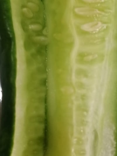 The image is a close-up, abstract view of a sliced cucumber. The focus is on the internal texture and structure of the vegetable. Visible are the pale green flesh, the white, gelatinous interior containing numerous small, pale seeds, and the dark green rind along the left edge. The lighting creates highlights and shadows, emphasizing the rounded, almost fleshy texture of the cucumber's core. The image is abstract and lacks any discernible people, objects, or a specific scene beyond the natural form of the cucumber. There is no activity or event taking place, and no time of day, weather, or location cues are present. No text is visible in the image. The overall impression is one of organic form and texture.