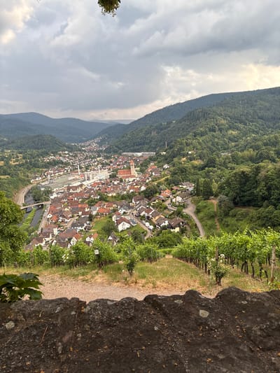 This image captures a high-angle, panoramic view of the town of Gernsbach, Germany. The scene is set within a lush, verdant valley with dense forests blanketing the surrounding hills. A winding river flows through the center of the town, bordered by a road and a railway line. The town itself is characterized by a dense collection of buildings with red-tiled roofs, clustered together along the riverbanks and extending up the hillsides. Prominent architectural features include a church with a tall steeple.
The foreground is dominated by the textured surface of a large, rough stone, suggesting a viewpoint from a wall or a natural rock formation. To the right of the stone, a vineyard with rows of grapevines in full leaf is visible, with some white flowers interspersed. The vines are neatly trellised, indicating agricultural activity.
The sky above is partly cloudy, with patches of sunlight breaking through, suggesting it is daytime, likely late afternoon or early evening given the soft lighting. The overall atmosphere is one of tranquility and natural beauty, with the human settlement harmoniously integrated into the mountainous landscape. There are no people clearly visible in the image, but the presence of houses and infrastructure implies a populated area. The image is oriented vertically, with the sky and distant hills to the left and the town and foreground to the right.