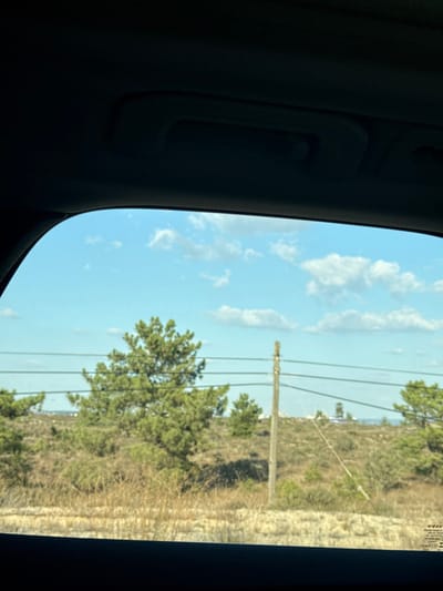 The image depicts an exterior landscape viewed from inside a vehicle, framed by the dark interior trim of a window, likely in the Grândola municipality of Portugal. The top portion of the frame shows a dark grey vehicle headliner with an integrated grab handle. The bottom edge reveals a dark dashboard or door panel, with an illegible sticker partially visible on the lower right corner of the window glass.
The exterior scene is characterized by a bright blue sky dotted with scattered white cumulus clouds. The terrain is arid and uneven, dominated by light brown, dry grasses and low-lying scrub brush. Scattered across this landscape are several small to medium-sized green coniferous trees, with one prominent tree situated in the mid-ground, slightly left of center. A weathered wooden utility pole stands vertically in the mid-ground, right of center, supporting multiple dark overhead wires that traverse horizontally across the frame. Further to the right and slightly below the main pole, a lighter-colored, thinner support structure leans into the landscape. In the distant background, a faint horizon line suggests open terrain or possibly a distant road with indistinct structures. No individuals or animals are visible, nor are any specific actions or interactions depicted.