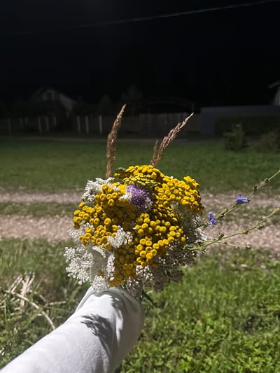 A hand wearing a white sleeve holds a bouquet of wildflowers, predominantly small yellow blossoms with some white clusters. A few delicate purple flowers and two wispy brown seed stalks are also visible within the arrangement. The background suggests a rural setting at night. A dirt path winds through a grassy area, with a fence and the silhouette of a house visible in the distance. The overall lighting is dim, with the primary illumination coming from an unseen source. The image appears to have been taken outdoors in Kutukovo, Russia.