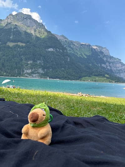 The image depicts a plush toy, resembling a capybara wearing a green dinosaur-themed hood, seated on a black blanket in the foreground. The blanket is spread on a grassy area. In the midground, a body of water, likely a lake, stretches horizontally, with a few people visible near the shore, some under a white umbrella, and several small boats or buoys scattered on the water. The background is dominated by a large, verdant mountain range with rocky peaks under a clear blue sky with scattered white clouds. The overall scene suggests an outdoor recreational setting, possibly a lakeside park in a mountainous region, which is consistent with the landscape of Glarus, Switzerland.