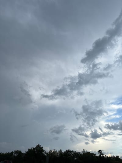 The image shows a dark, cloudy sky over a line of trees in Bradenton, Florida. The clouds are heavy and gray, with some lighter patches showing through. The trees are silhouetted against the sky, and their leaves are dark green. The overall impression is one of an impending storm. There are no people or visible objects in the image other than the natural elements of sky and trees. The location is identified as Bradenton, United States.