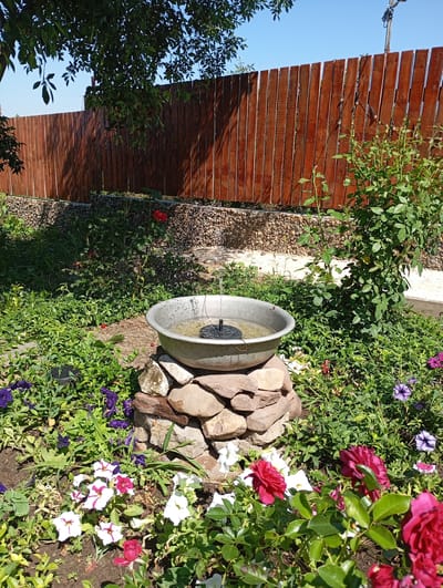 This is a medium-shot, eye-level, outdoor photograph taken on a sunny day. The scene depicts a small garden area featuring a circular metal basin, partially filled with water and containing a small fountain mechanism, elevated on a circular base constructed from stacked stones. The basin and stone base are centrally located in the frame. Around the basin, various flowers are blooming, including purple petunias, white and pink striped petunias, and several deep red roses. The garden is densely planted with green foliage. In the background, a tall, dark wooden fence runs horizontally across the frame, with a portion of a tree with green leaves casting shadows on the fence. The ground in the background appears to be covered with gravel and a light-colored path. The image is likely from a residential area in Karagash, Moldova.