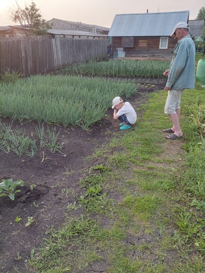 A person, likely an adult male, wearing a light blue long-sleeved shirt, beige shorts, and a white head covering, stands in a garden. He is looking down towards a younger person, a child, who is crouched on the ground. The child is wearing a white t-shirt, patterned shorts, a white baseball cap, and bright blue shoes. The child is focused on something on the ground.

The setting appears to be a rural garden, possibly in a dacha (summer house) area, given the wooden structures visible in the background. There is a long wooden fence and what looks like the side of a wooden house with a corrugated metal roof. Rows of green plants, likely onions or leeks, are neatly planted in dark soil. The ground is a mix of soil and green grass, with some patches of dry, cracked earth.

The lighting suggests it is late afternoon or early evening, with a soft, warm glow casting long shadows. The weather appears to be mild and pleasant, conducive to outdoor activities. The overall mood is one of quiet activity and shared time in nature, with the adult observing the child's engagement with the garden. There is no visible text in the image. The location context provided is Novosyolovo, Russia.