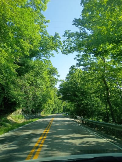 The image shows a scenic drive on a sunny day through a wooded area, likely in Lawrenceburg, United States of America. The perspective is from a vehicle, looking upwards and to the right, revealing a bright blue sky peeking through a canopy of lush green trees. The leaves are vibrantly colored, suggesting it's springtime or summer.
A paved road with double yellow lines runs along the right side of the frame, curving out of sight. A metal guardrail borders the road, separating it from a steep, grassy embankment on the left. The road surface is dappled with shadows cast by the overhead foliage, creating a dynamic interplay of light and dark. Several thin, dark wires are visible suspended against the sky in the upper left quadrant, hinting at the presence of utility lines.
The overall mood is peaceful and serene, evoking the feeling of a leisurely drive on a pleasant day. No people or specific objects are clearly identifiable, but the scene itself – the road winding through nature – suggests travel and exploration. The time of day appears to be daytime, given the bright sunlight. There is no visible text in the image.