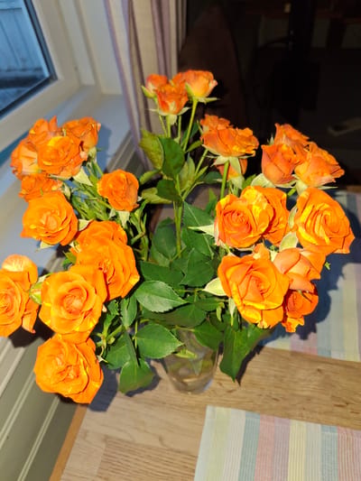 A bouquet of bright orange roses with yellow streaks is displayed in a clear glass vase. The vase sits on a wooden surface, possibly a table, covered in part by a striped placemat. In the background, a window with white trim is visible, revealing a glimpse of the outdoors. Behind the flowers, a dark, out-of-focus background suggests an indoor setting. The lighting indicates it is likely daytime. The scene is static and does not depict any actions or interactions. The location is identified as Åsgårdstrand, Norway.