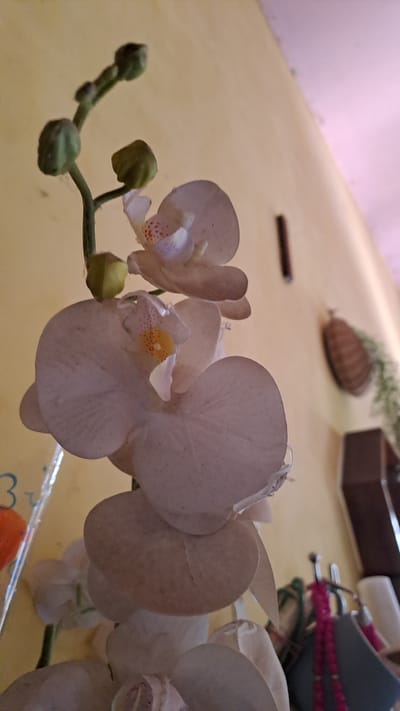 An artificial orchid is displayed against a pale yellow wall in what appears to be an indoor setting. The orchid has several white petals with subtle pink and yellow markings in the center of the blooms. Some buds are still closed. In the background, a vertical dark object is mounted on the wall, and a woven basket-like object with greenery hanging from it is also visible. To the right, there are glimpses of shelving with various items, including a dark wooden object, a white cylindrical object, and some pink beaded strands. The overall scene suggests a decorative arrangement in a room. There is no indication of the city of Lhokaweawe, Indonesia.