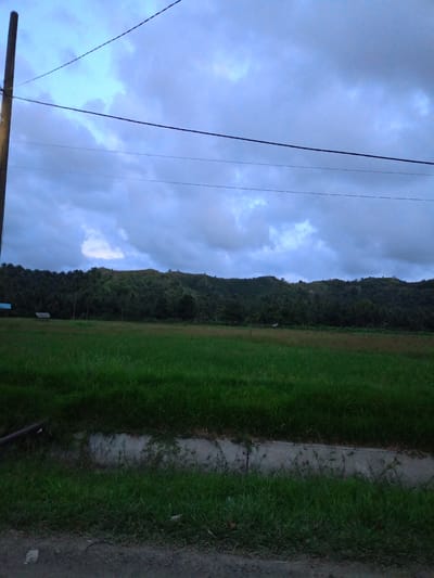 The image shows a rural landscape in Blangrheuem, Indonesia. A grassy field extends from the foreground to the middle ground, bordered by a low concrete barrier and some longer grass. Beyond the field, a tree-covered hill forms the horizon. Several small structures, likely houses or sheds, are visible near the treeline. Overhead, a cloudy sky dominates the upper portion of the frame, bisected by power lines running horizontally. A utility pole is on the left. The scene appears to be captured in the early morning or late evening due to the muted lighting. There are no people visible.