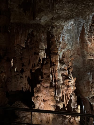 The image shows a section of the cave in Petralona, Greece. The cave walls are rough, textured, and layered, with variations in color from brown to white. The structures are rock formations, specifically stalactites and stalagmites. A metal railing is present on the right side of the image. The lighting in the cave appears dim, casting shadows and highlighting the natural contours of the formations.