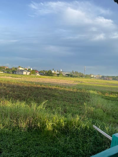 This is a vertically oriented photograph of a rural landscape in Geulanggang Teungoh, Indonesia. The image captures a wide view of a grassy field with a village in the distance. The sky is partly cloudy with a mix of blue sky and diffused light, suggesting it might be late afternoon or early morning.

The foreground is dominated by lush green grass, with some areas showing signs of dryness or straw-like textures, indicative of a harvested field or a natural progression of seasons. Sunlight is filtering through the grass in some sections, creating patterns of light and shadow. A white wooden plank, possibly part of a fence or a temporary structure, is visible in the upper right corner.

Beyond the field, a village is nestled amongst trees. Several houses with modern architecture are visible, along with what appears to be a cell tower and possibly a dome-shaped structure, perhaps a mosque or a water tank. Palm trees are scattered throughout the village, a common sight in tropical regions. The overall atmosphere of the scene is peaceful and serene, conveying a sense of rural tranquility. There is no visible text in the image.