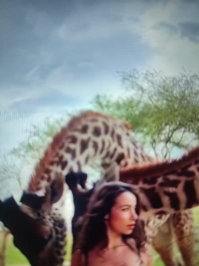 A fair-skinned woman with dark, wavy hair is featured in front of several giraffes in a natural setting. The giraffes are partially visible, showcasing their distinctive patterned hides and long necks. The sky is overcast, with light patches breaking through the clouds. A few trees with sparse foliage are in the background, adding to the wild, untamed atmosphere of the scene.