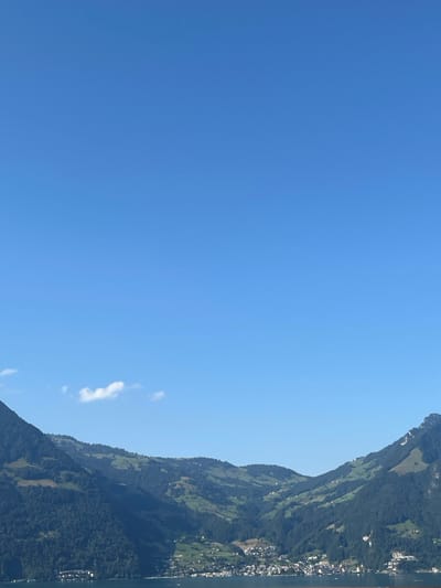 The image displays a panoramic landscape view of Beckenried, Switzerland, situated along the shore of Lake Lucerne, framed by mountainous terrain. The upper 60% of the frame consists of a clear, unblemished light blue sky, containing one small, wispy white cloud located at the mid-left horizon.
The central and lower portions of the scene are dominated by a valley formed by two prominent mountain ranges. The mountain range on the left side is extensively covered in dark green forestation, with intermittent patches of lighter green, indicative of pastures or clearings. The mountain on the right ascends steeply, also densely forested with dark green trees, and exhibits visible rocky formations near its summit. Between these two primary mountain structures, rolling hills are visible, presenting a mosaic of dark green forest and lighter green cultivated areas or pastures.
The foreground is occupied by a calm, expansive body of water, identifiable as Lake Lucerne, which reflects the clear sky. Several small, dark, oblong shapes are discernible on the surface of the lake, consistent with the appearance of boats or buoys.
Along the immediate shoreline of Lake Lucerne and extending upwards onto the lower slopes of the surrounding mountains, the town of Beckenried is clearly visible. The town comprises numerous structures with predominantly light-toned roofs (appearing white, grey, or light red), which are densely clustered near the water's edge and become more dispersed as they ascend the hillsides.
No human figures are discernible within the frame. There are no depicted actions or interactions. The scene is static, focused on the natural and architectural elements of the location.