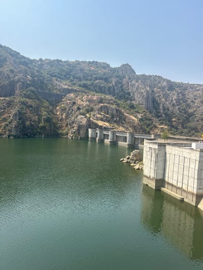 The image displays a wide view of the Miranda do Douro Dam (Barragem de Miranda) on the Douro River, situated near the city of Miranda do Douro, Portugal. The foreground and mid-ground are occupied by a large expanse of green-tinted water with visible surface ripples. On the right, a prominent, light-grey concrete structure, part of the dam complex, rises from the water, exhibiting vertical and horizontal panel lines. A small, solitary green tree is positioned on the flat upper surface of this structure. Adjacent to and extending left into the water from this main structure is a series of multiple concrete gates or spillways. The background features steep, rugged mountainsides rising directly from the water's edge, characterized by exposed grey rock and dense green and brown vegetation. A distinct horizontal concrete structure, appearing as an aqueduct or channel, is visible high on the left mountain slope. The sky is clear and light blue with a slight atmospheric haze. No individuals, animals, or vehicles are visible in the scene.