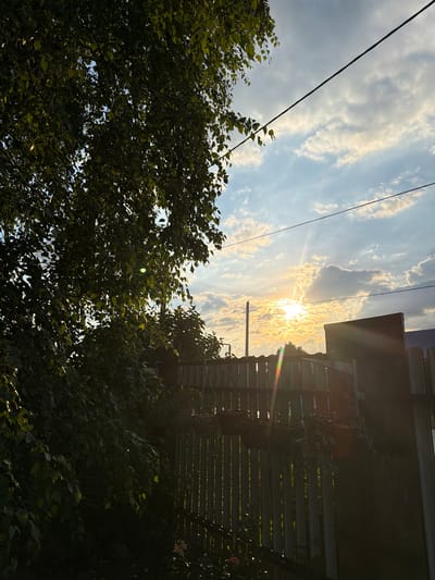 In Sukhodol, Russia, a treeline of dark green foliage dominates the left side of the frame. Beyond it, a wooden fence with vertical planks stretches across the midground. The sky, filled with scattered clouds, is illuminated by the setting sun, which creates a radiant glow and a lens flare effect. Electrical wires are visible against the sky in the upper portion of the image.