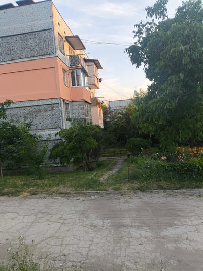 In Maximovca, Moldova, an apartment building with a peach-colored facade and decorative tiled sections stands adjacent to a lush green area. A large tree with dense foliage dominates the right side of the frame, casting shadows. In the foreground, a cracked asphalt surface meets a patch of grass. The scene appears to be captured during daylight, with a clear sky and diffused lighting. Laundry is visible hanging from a balcony on the side of the building.