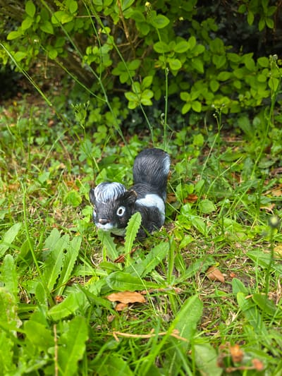 A small, black and white skunk figurine is positioned on the ground amidst green vegetation. The figurine is oriented to the viewer's left, with its head and upper body visible, featuring a black body with distinctive white markings on its forehead, a white stripe extending from its head down its back, and a partially visible white-striped tail. The skunk has large, circular white eyes with black pupils and a small dark nose.
The immediate foreground is composed of various green plant species, including grass blades and broad-leafed plants, some showing minor damage. Scattered brown, dried leaves are visible on the dark soil surface. The midground consists of a denser arrangement of green plant life, including slender stems and various leafy structures. The background is a blurred expanse of rich green foliage, likely indicating bushes or denser plant growth, creating a natural, outdoor environment. The scene is illuminated by ambient natural light. This scene is located in the city of Shotton, United Kingdom.