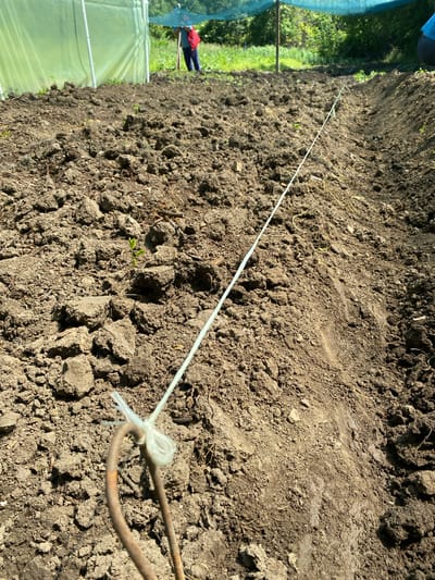 The image shows a tilled patch of dark brown soil with a taut white string stretched across it, anchored by a rusty metal loop on the right. The soil is clumpy, with small plant shoots visible in some areas. A freshly tilled area can be observed on the right side of the plot, appearing darker. A blurry figure of a person, wearing a red shirt and blue trousers, stands behind a structure covered in translucent material, possibly a greenhouse or netting, visible in the background. The background also contains lush green vegetation and trees. The image was taken in Belokopitovo, Bulgaria.
