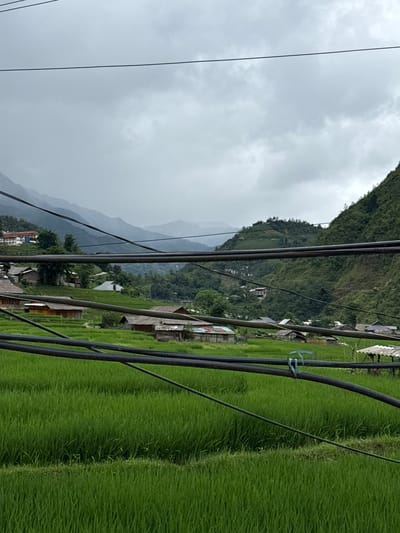 In Tả Van, Vietnam, under a heavily overcast sky, a lush green rice paddy stretches across the mid-ground of the image. Multiple black electrical wires are strung across the foreground, obscuring parts of the landscape. In the background, a village with houses of various sizes and styles is nestled on the slopes of verdant, mountainous terrain. Some structures have dark roofs, while others, particularly a larger building on a higher elevation to the left, feature red roofing. The overall impression is one of a rural, mountainous landscape characteristic of Tả Van, with the presence of electrical infrastructure indicating a developed area within the natural environment.