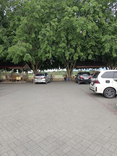 The image depicts a parking lot area with a pavilion and several vehicles under a canopy of large trees. The ground is paved with interlocking gray bricks. In the background, a pavilion with a dark roof provides shade, and several people are seated on wooden benches. To the right of the pavilion, a silver MPV is parked. Further to the right, a black MPV is parked, followed by a white MPV in the foreground. The environment appears to be a recreational area or rest stop, potentially located in Mee Tanjong Usi, Indonesia, given the context. The trees are full of green foliage, suggesting a warm climate. The overall scene is calm and appears to be a typical day in a tropical or subtropical region.