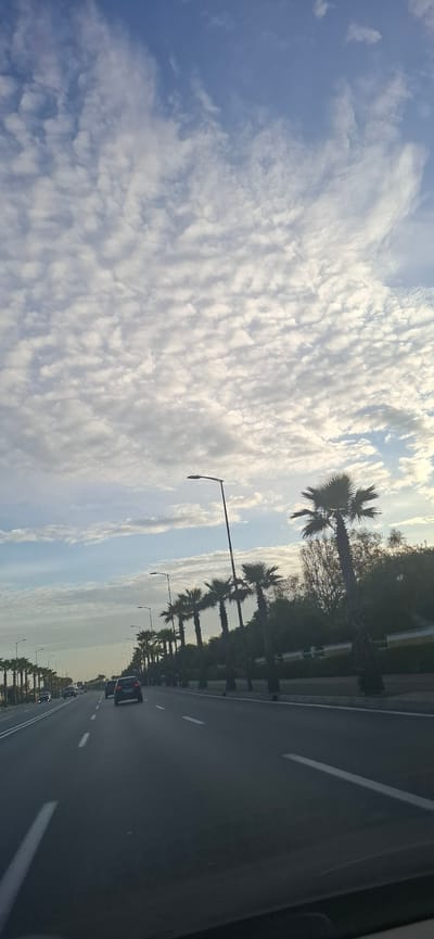 The image depicts a multi-lane asphalt road in Harhoura, Morocco, captured from a low perspective, likely from a vehicle's dashboard. The sky is partially overcast with numerous altocumulus clouds forming a scattered pattern against a lighter blue background, indicative of diffused daylight, possibly late afternoon.
The road surface is dark asphalt with clearly visible white solid and dashed lane markings, indicating multiple lanes for traffic flowing in the direction of the camera. A wide median strip separates the road, densely lined with uniformly spaced tall palm trees, estimated to be between 15 to 20 feet in height. Interspersed among these palms are slender, dark-colored streetlights, each featuring a single luminaire.
To the right of the road, behind the initial line of palm trees, a low, light-colored barrier or wall is present, followed by a dense expanse of green foliage comprising various bushes and trees. On the left side of the road, an additional row of palm trees and streetlights is visible extending into the distance.
Several vehicles are observed on the road, traveling away from the camera. A dark-colored SUV or large sedan is prominent in the middle distance within the left lanes, followed by other less distinguishable vehicles receding further down the road. No pedestrians or individuals outside of vehicles are visibly present within the scene.