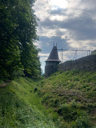 The image displays a historical stone tower and a rugged stone wall, enveloped by vibrant green vegetation under a dynamic sky. The scene is captured from a slightly low angle, looking upwards towards the structures.
In the mid-ground, a distinctive stone tower stands tall, crowned with a dark, conical, shingled roof that tapers to a point, featuring two prominent pointed finials. The tower's walls are constructed from textured stone, and a small, dark opening, possibly a window, is visible. Extending to the right from the tower is a substantial stone wall, likely a defensive fortification, parts of which are overgrown with thick green moss and bushes.
The foreground is dominated by lush greenery. On the left, the leafy branches of a large tree fill a significant portion of the frame, providing natural framing. To the right, a sloping hillside is densely covered in various types of green grass and foliage, with a faint, unpaved path winding through it towards the bottom right.
The sky above is a mix of bright white and grey clouds, with patches of sunlight breaking through, suggesting a daytime scene, possibly late morning or afternoon. The light casts bright highlights on the clouds and the tower's roof, while other areas, particularly some foreground foliage, are in softer shadow. Above the stone wall, several wooden posts or supports with visible wires or lines stretch across the frame. The image conveys a sense of history and nature, depicting what appears to be an ancient structure nestled within a verdant landscape in Kamianytsia, Ukraine. No text is visible in the image.