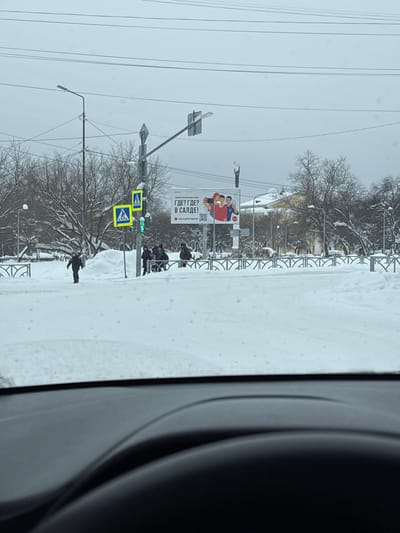 From inside a car, a snow-covered urban scene is viewed. A pedestrian crossing with a green light and pedestrian signs is visible. People are crossing the street. A large billboard with a colorful advertisement stands to the side of the road. Trees, covered in snow, line the street. Power lines stretch across the sky. The visibility is low due to the snowy weather.