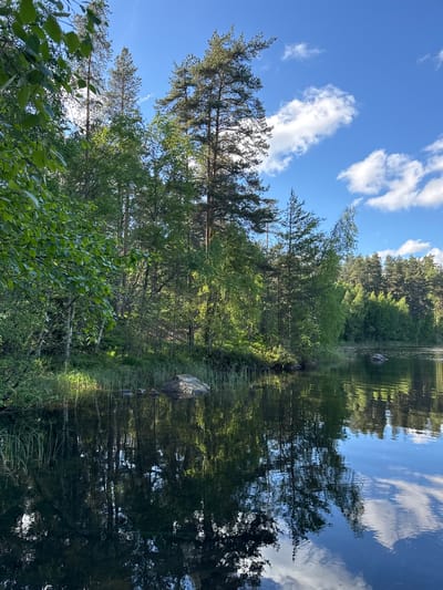 The image depicts a tranquil lakeside scene on a sunny day, with a dense forest bordering the water. The foreground is dominated by the calm surface of the lake, reflecting the surrounding trees, sky, and clouds. Tall, slender pine trees and deciduous trees with lush green foliage line the shore. Several rocks are visible, both partially submerged in the water and on the bank. The sky is a vibrant blue, dotted with fluffy white clouds. The scene suggests a natural, undeveloped environment. The location of Berezovo, Russia, is provided in the prompt, implying this is a representation of a natural landscape within or near that city. There are no people or visible human activities in the image.