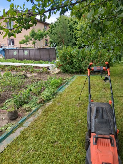 An overhead shot shows a Black & Decker electric lawnmower with orange trim on a patch of freshly cut, slightly wet grass. Behind the lawnmower, a dark brown above-ground swimming pool with circular accents is visible, partially covered by a blue tarp. A metal ladder leans against the side of the pool. In the background, a two-story building with a pale pink facade is situated among lush green trees and dense foliage. The foreground displays a garden area with raised beds covered by white plastic sheeting, some of which appear to be for growing strawberries. Various plants, including bushes with red berries and unidentifiable greenery, are scattered throughout the garden. The scene is set outdoors, under a bright, cloudy sky, likely in a residential area of Boryspil, Ukraine, given the architecture and garden style.