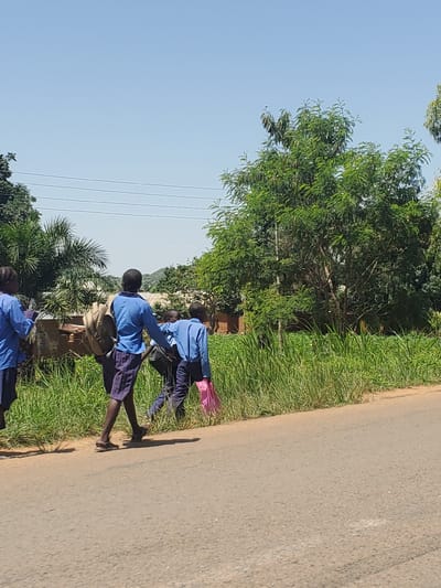 The image shows a rural scene in Panyam, Nigeria. Three young people, presumably students based on their blue uniforms, are walking along a dirt road. One of them is carrying a pink bag. The sun is bright, suggesting it is daytime. The road is lined with green grass and trees. In the background, there are more trees and a clear blue sky. The overall atmosphere appears casual and peaceful. The image is oriented vertically.