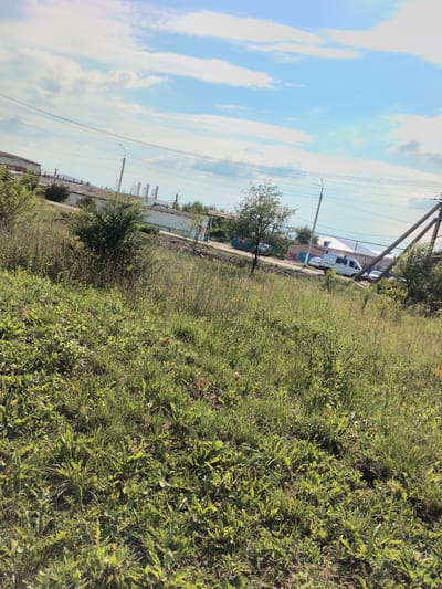 The image captures a view of an industrial or commercial area in Pokhvistnevo, Russia, with a foreground of overgrown grass and weeds. In the middle ground, a white van and two cars are parked along a road adjacent to a low-rise building complex with white walls and a light-colored roof. Several utility poles and power lines are visible, crisscrossing the frame. The background shows a clear blue sky with scattered white clouds, and what appear to be industrial smokestacks or cooling towers in the distance. The overall scene suggests a sunny day in a somewhat unkempt, functional part of the city.